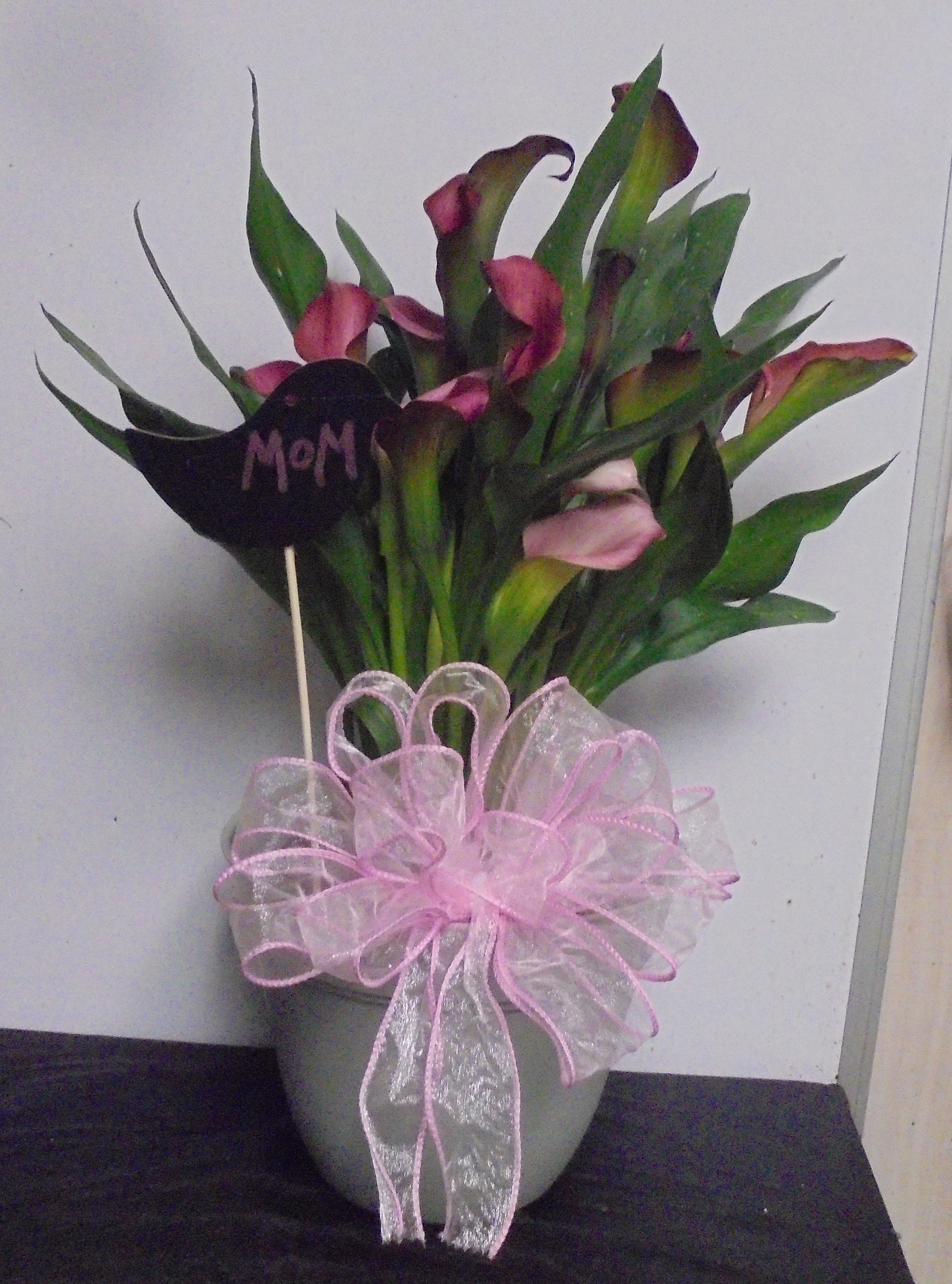 (31A)  "Pink" Calla Lily Plant
$45.00