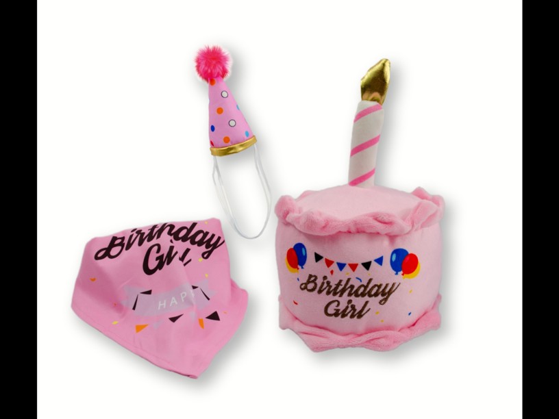 SP-3490 FLUFFY CHUM 
PELUCHES SET HAPPY BIRTH ROSA