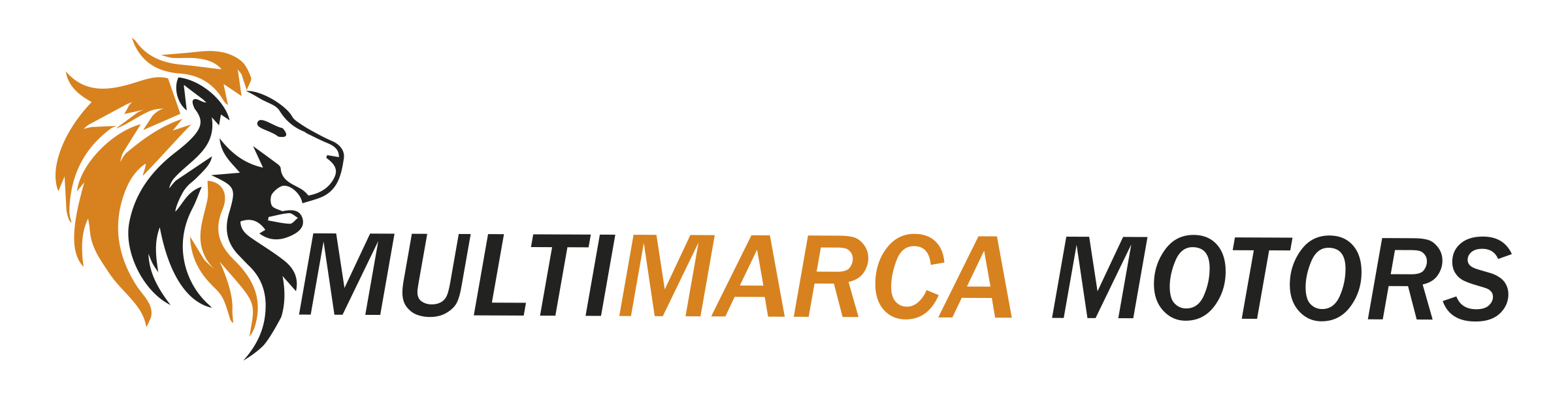 MULTIMARCA MOTOR EL LEON YOAY SRL