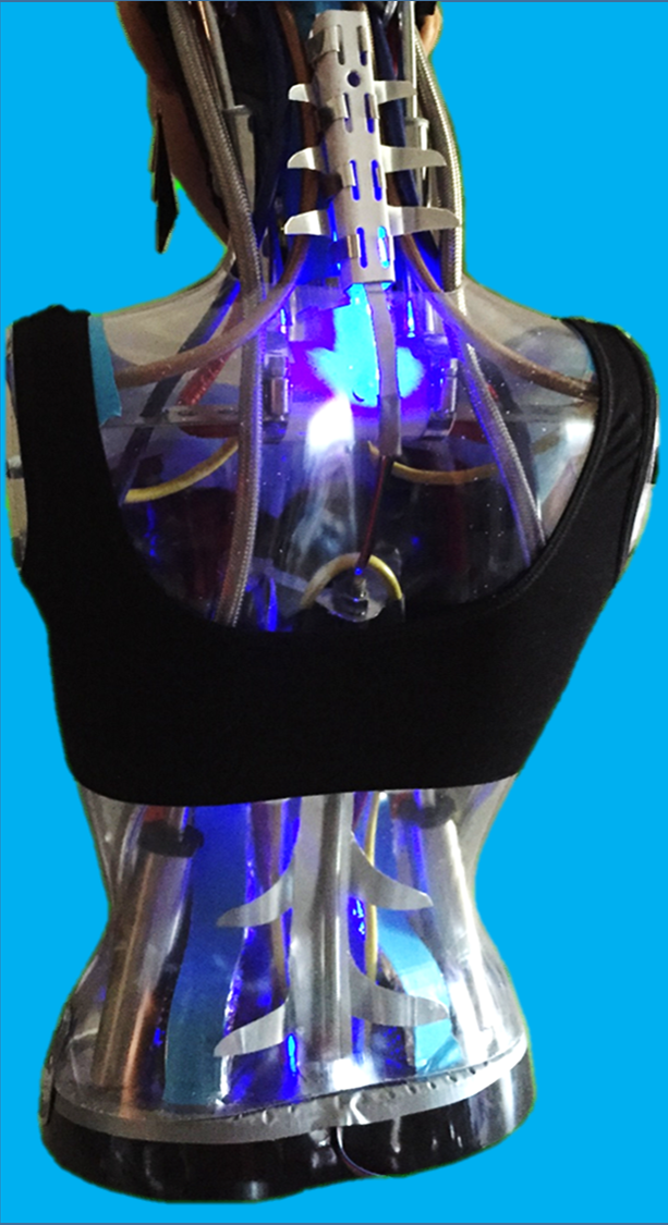 Kolander Images - Aurora Build - Back View