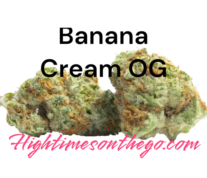 https://0201.nccdn.net/1_2/000/000/0c7/149/banana_cream_og_category_hybrid_price-call-for-prices_.jpg