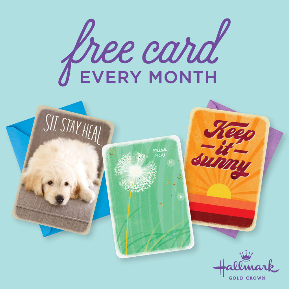 Evensons Hallmark With Stores In Minnesota Iowa Wisconsin And South Dakota Has 25 Retail Store Locations