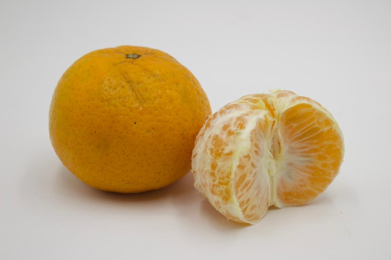 MANDARINA