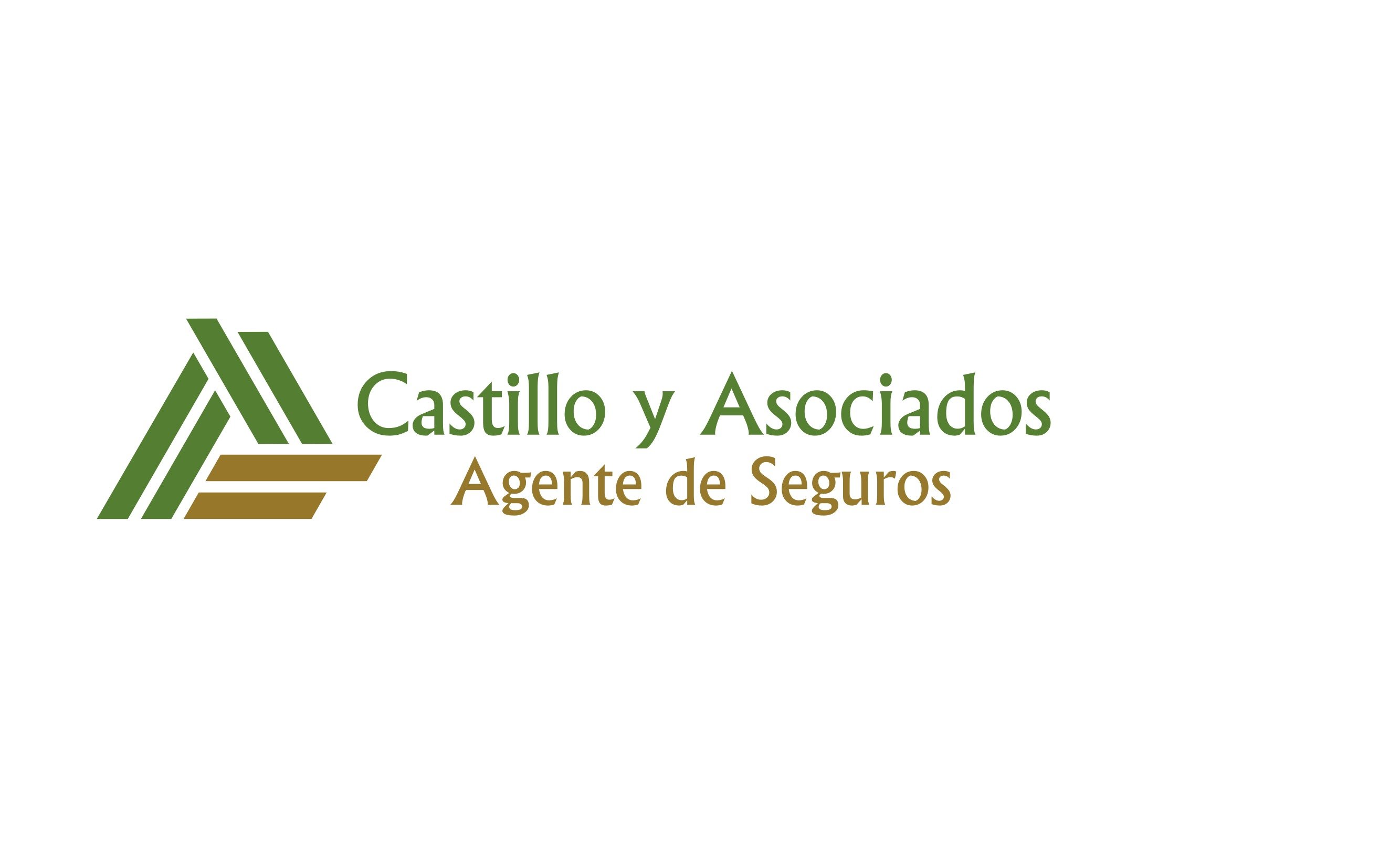 Castillo Seguros