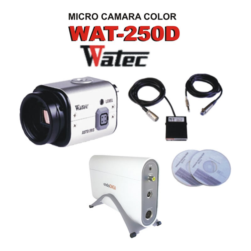 ENDODIGI
PAL/NTSC
RESOLUCION 24 BITS(RGB)
FORMATOS JPEG Y MPEG4