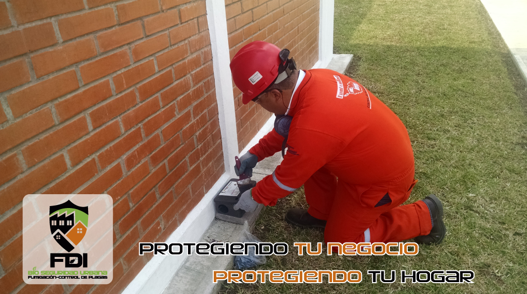 Coloque el título aquí