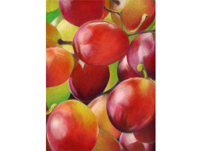 Grapes #1 (Coloured Pencil on Colourfix) 297mmx 210mm NFS