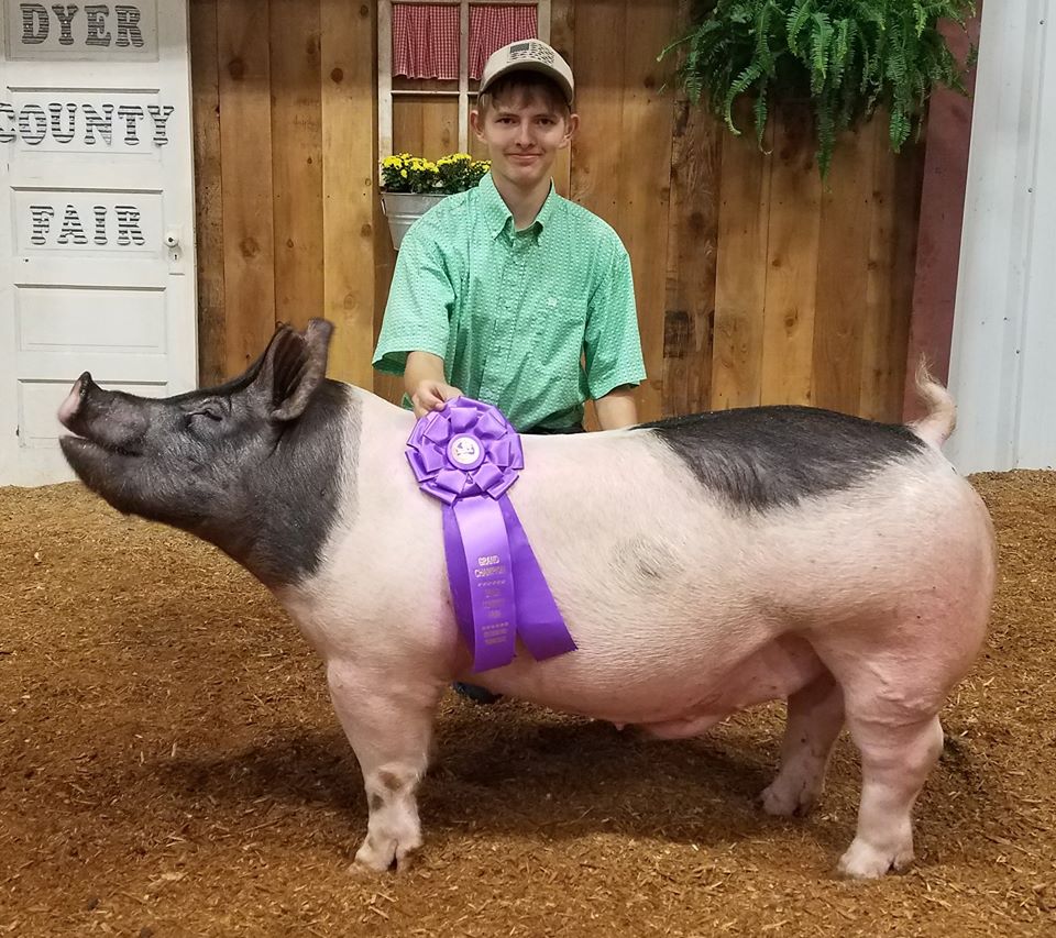Will Derryberry
2017 Dyer County Fair
Champion Crossbred Barrow
