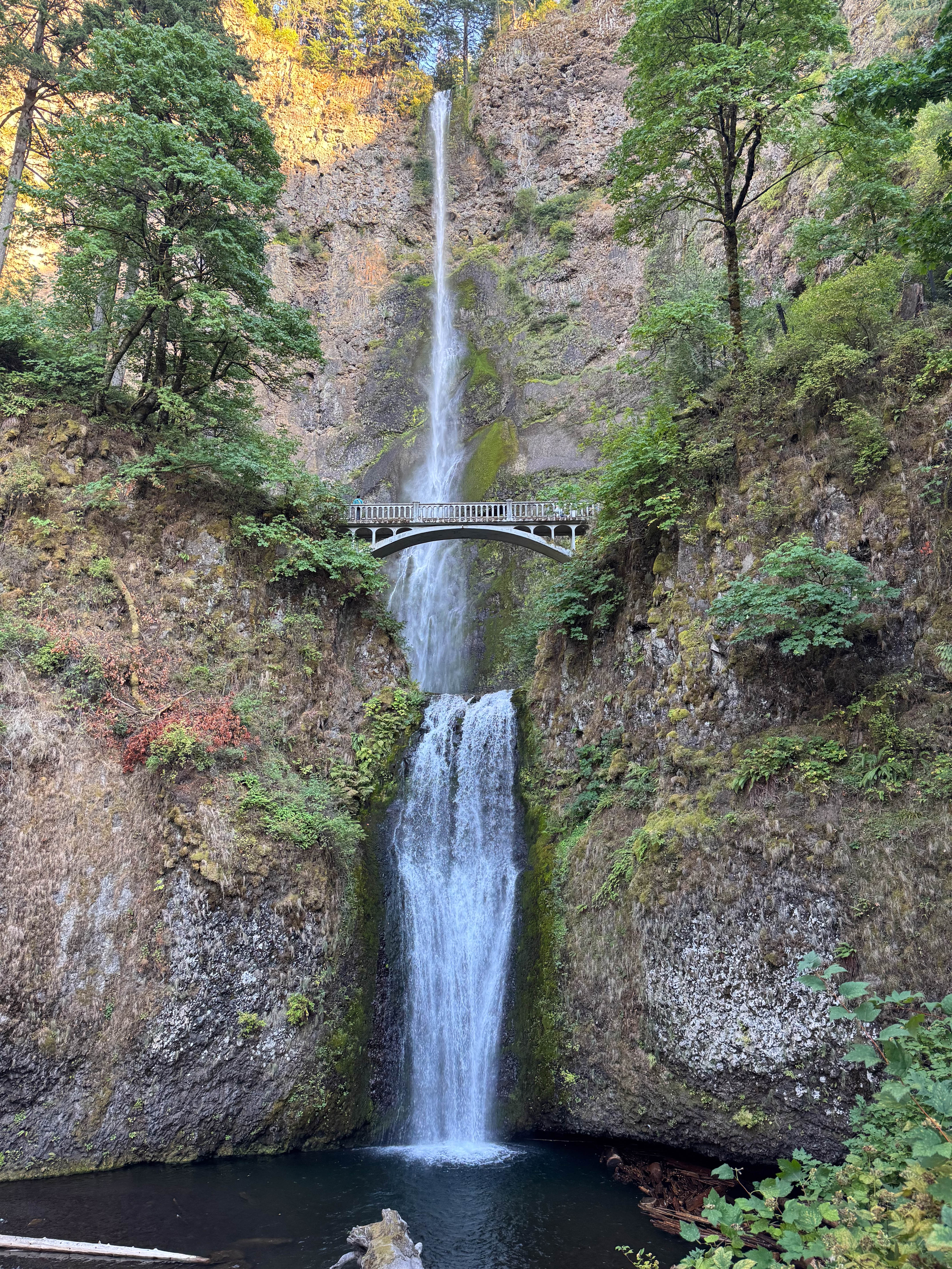 https://0201.nccdn.net/1_2/000/000/0c7/9a7/portland-order-22.jpg
