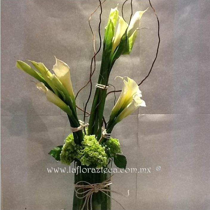 LFA-W004 Diseño de Agrupaciones
Precio $1,345