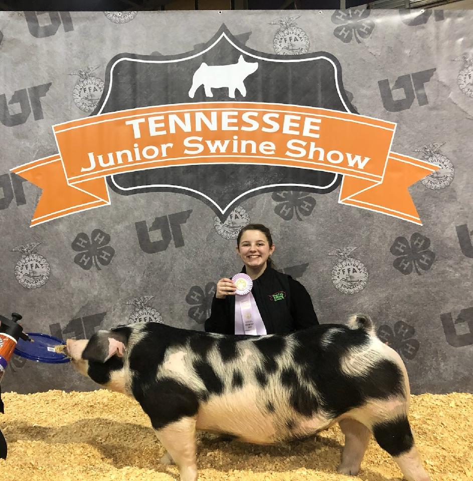 Ann Thomas Lowery
2022 TN State Swine Show
Reserve Champion Spot Gilt
