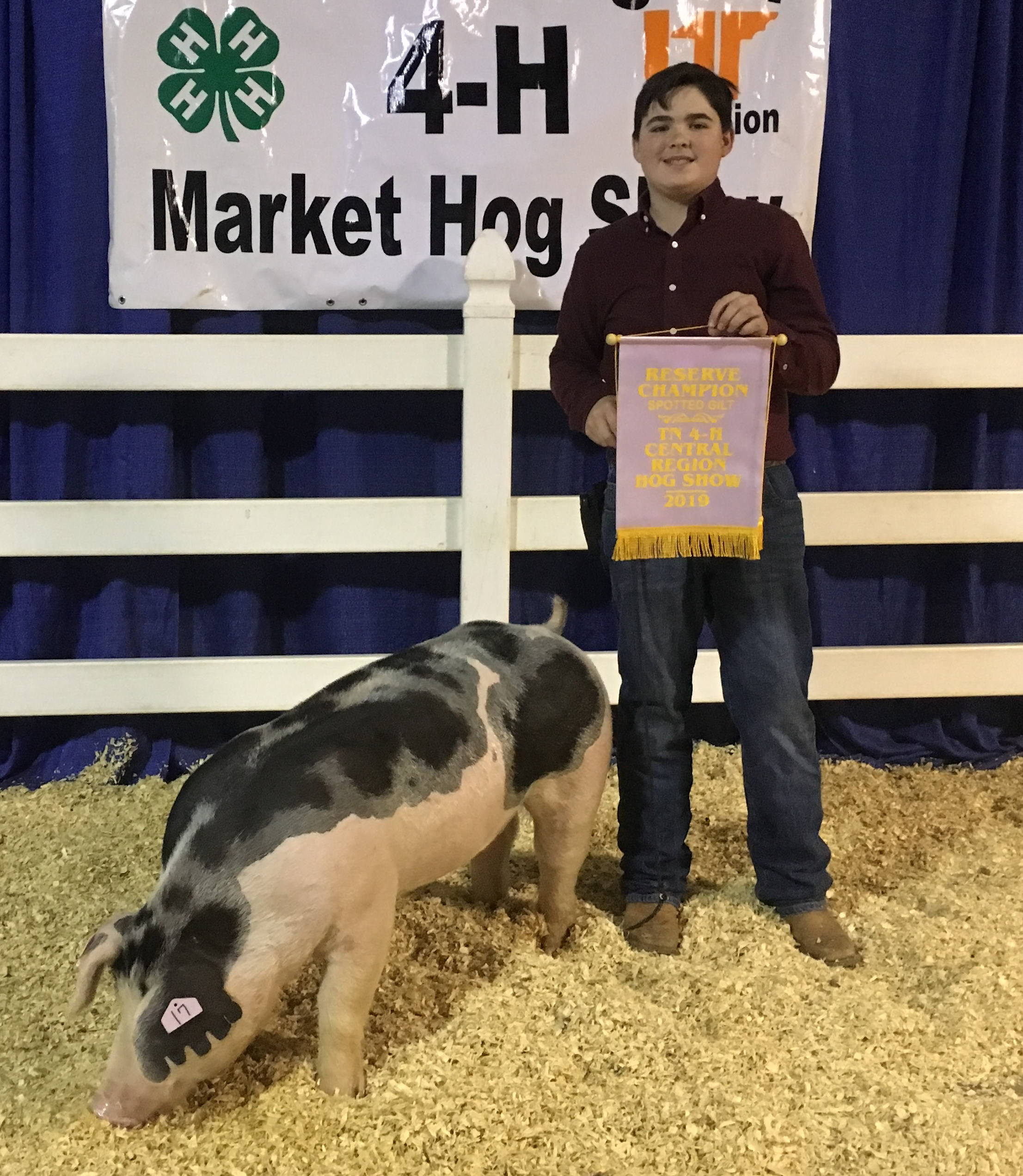 Samuel Lamb
2019 TN Central Region Show
Reserve Champion AOB Gilt
