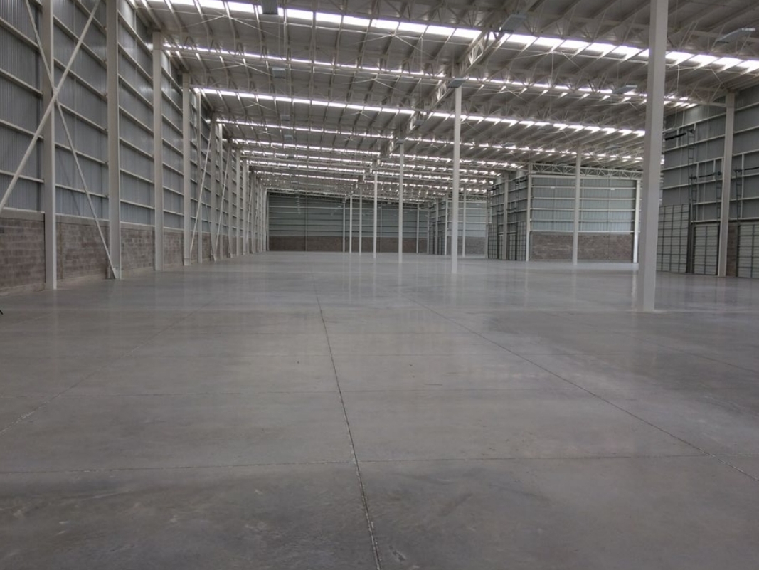 interior bodegas