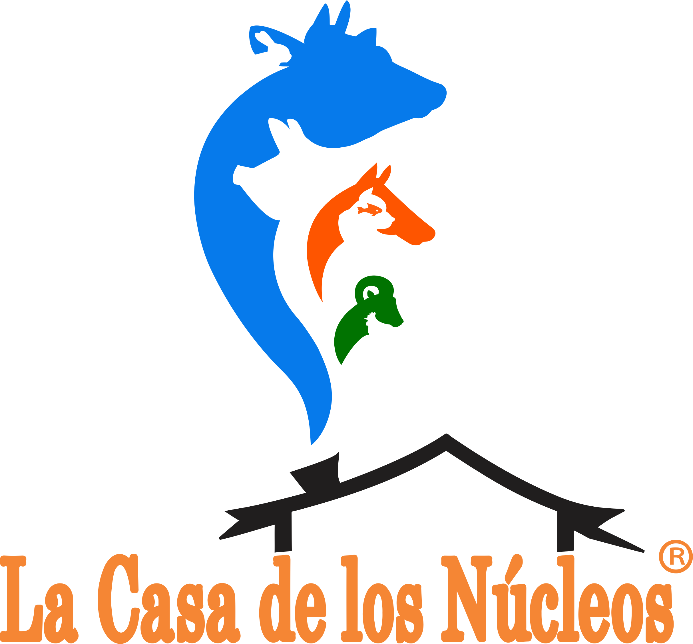 
- LA CASA DE LOS NÚCLEOS -