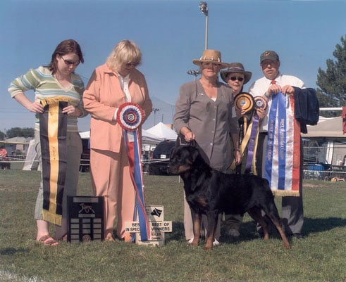 Ulti's 7th Great Grandchild AM/CAN Champion Stonehedge Philip Eugene BISS Canadian National!