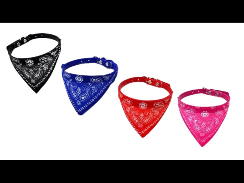 COLLAR CON PALIACATE