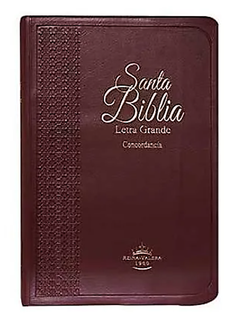 https://0201.nccdn.net/1_2/000/000/0c9/275/biblia-letra-grande-vino1.png