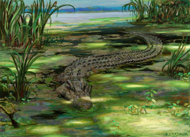 Lurking Crocodile
M12 Core Set
10" x 13"  Oil on Panel
private collection
