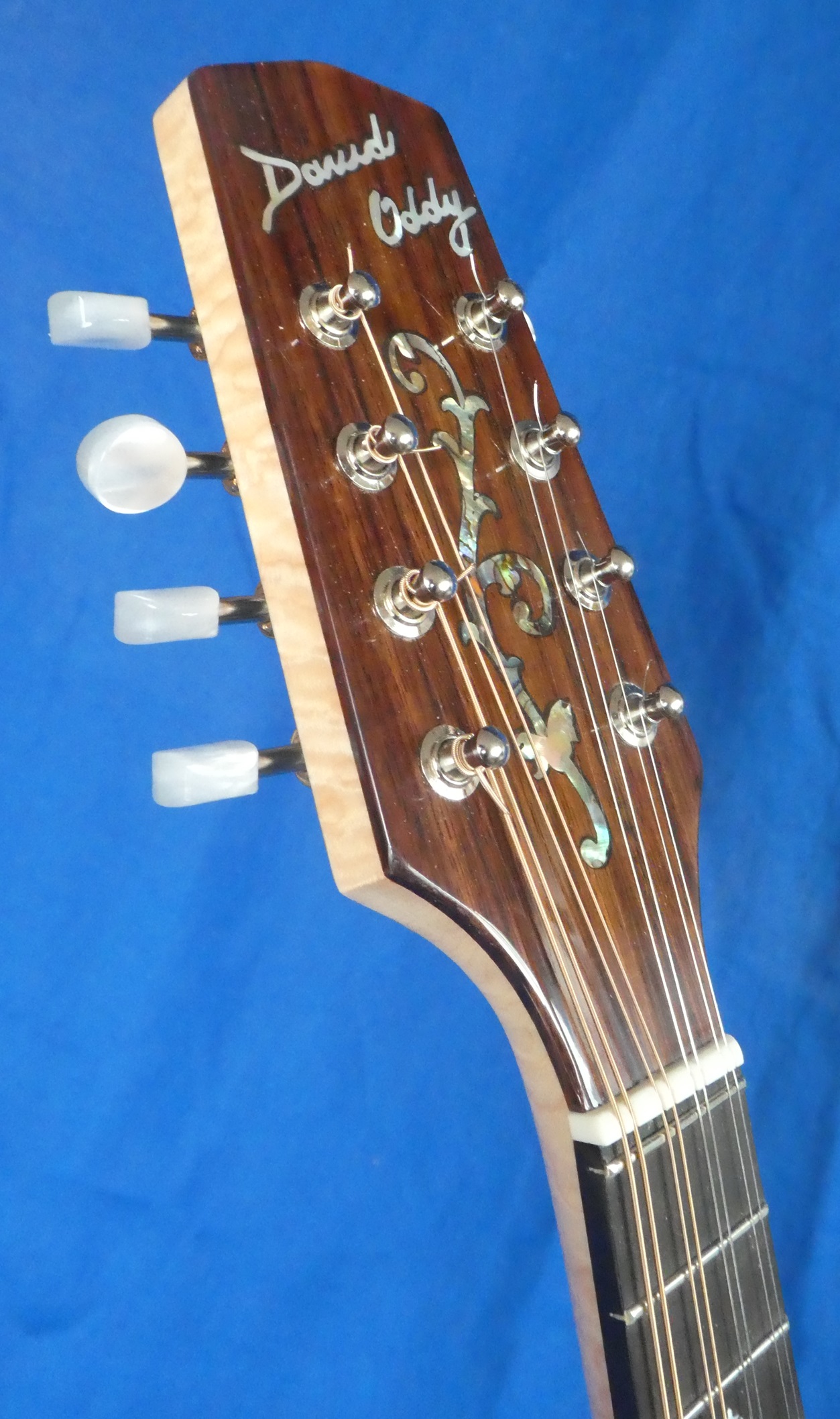 https://0201.nccdn.net/1_2/000/000/0c9/77e/archtop-peghead-front.jpg