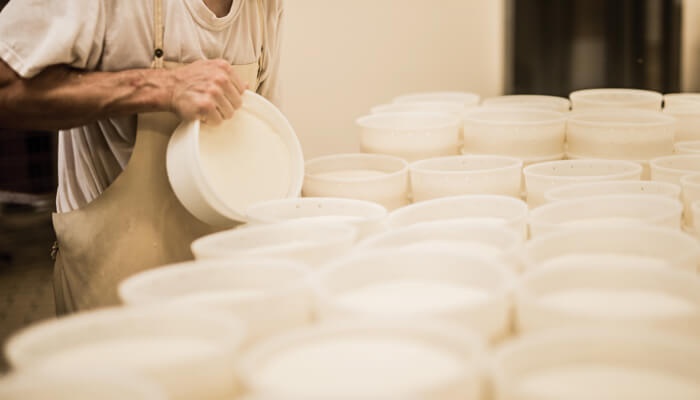 Enfriadora Bajío de San José - Compra de Leche