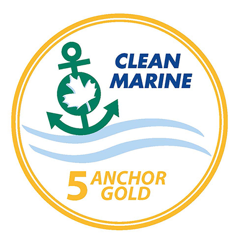5 Anchor Gold||||
