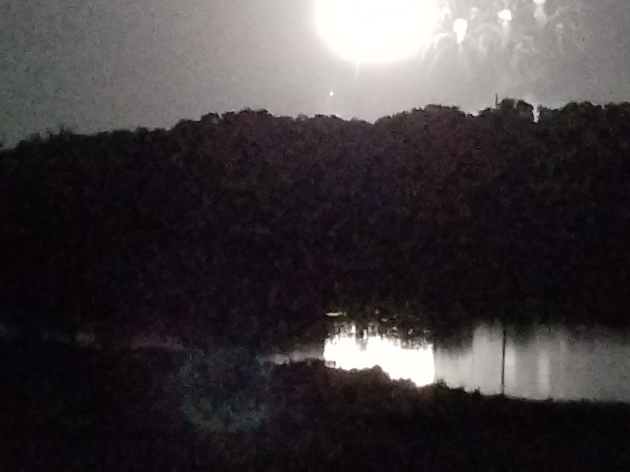Fireworks Over Lake in Davenport