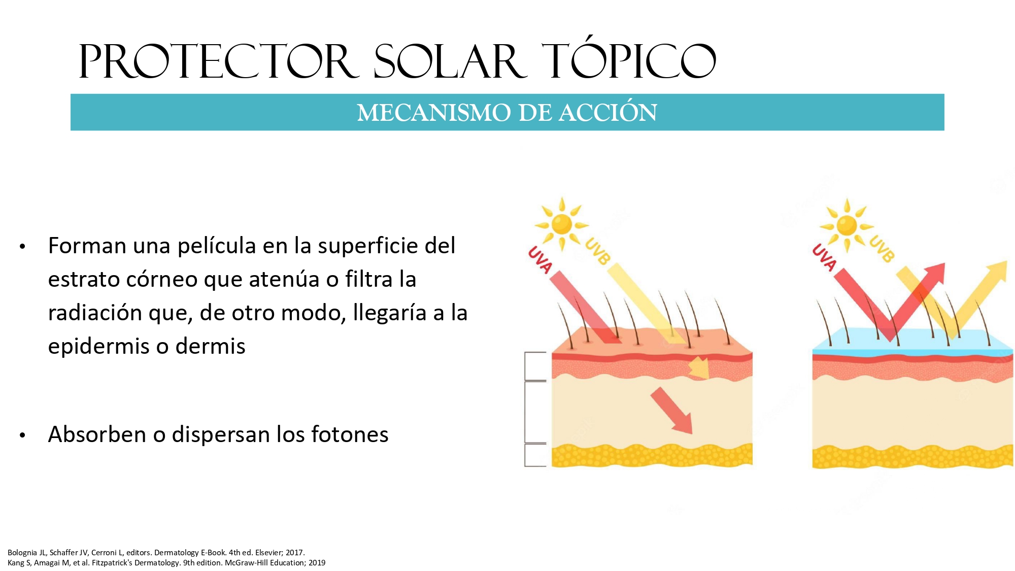 https://0201.nccdn.net/1_2/000/000/0ca/706/pl%C3%A1tica-s.m.-sol-y-piel_page-0022.jpg