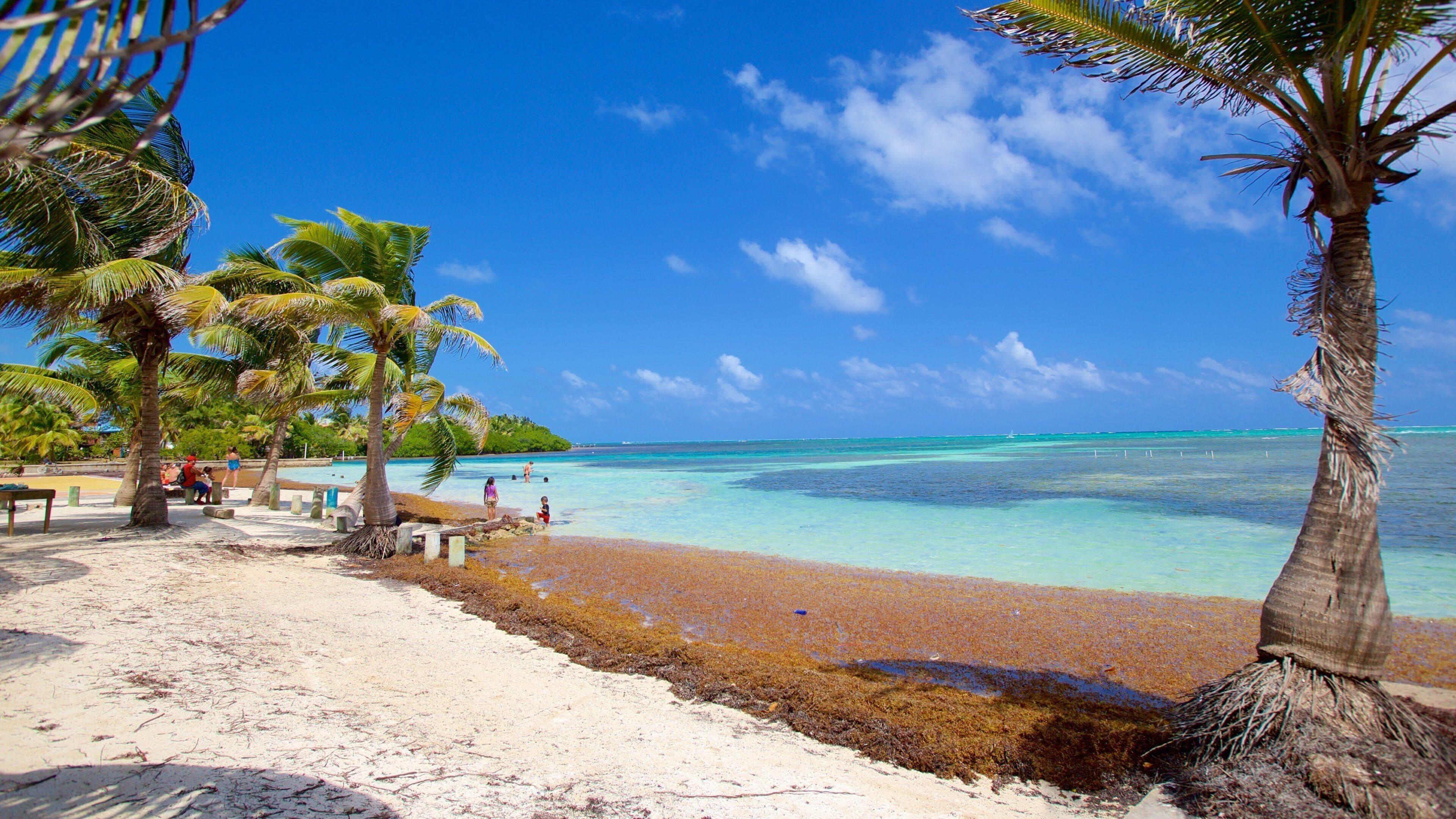 https://0201.nccdn.net/1_2/000/000/0ca/75c/belice1.jpg