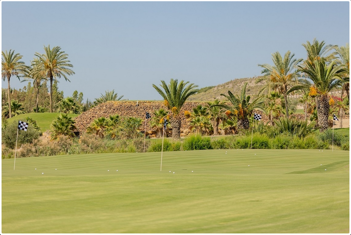 basket of golf balls on green grass