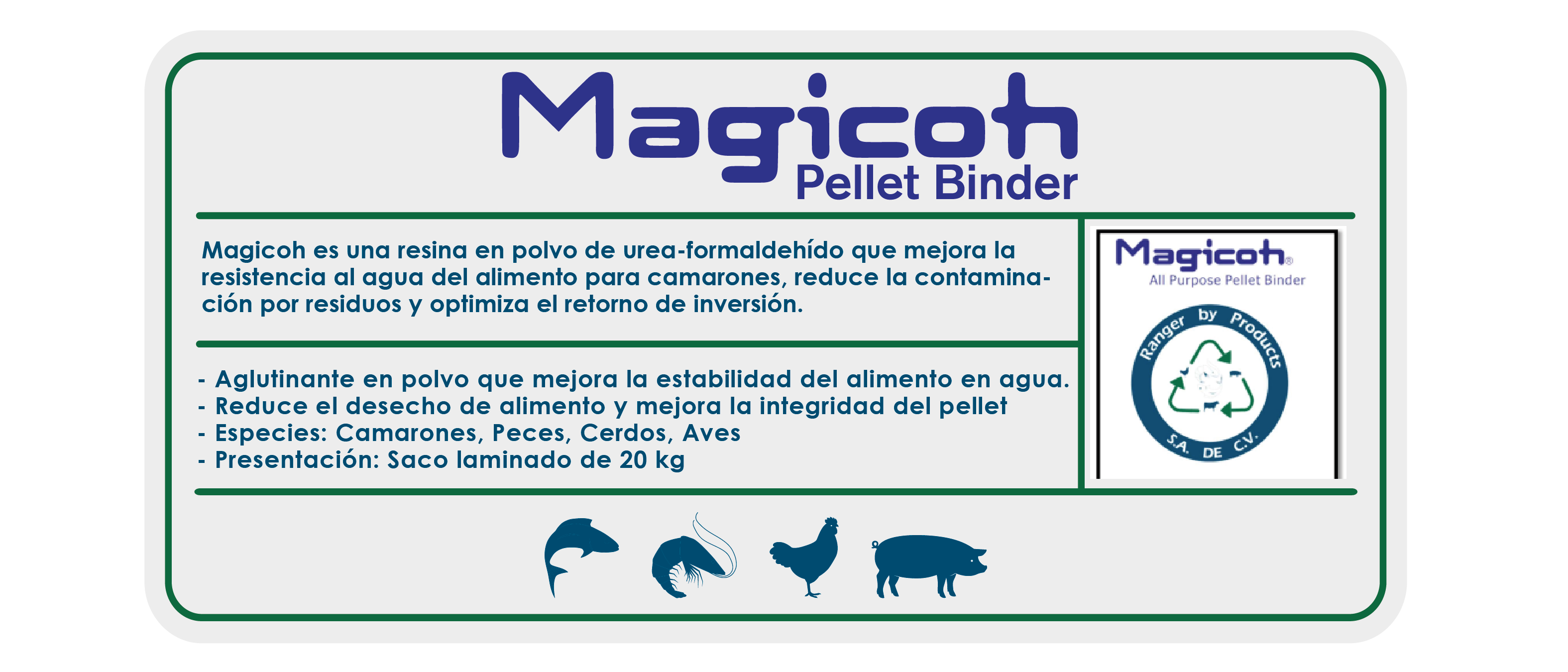 https://0201.nccdn.net/1_2/000/000/0ca/de1/ficha_ecommerce-10.png