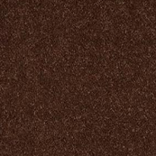 AMBER BROWN 
03390
