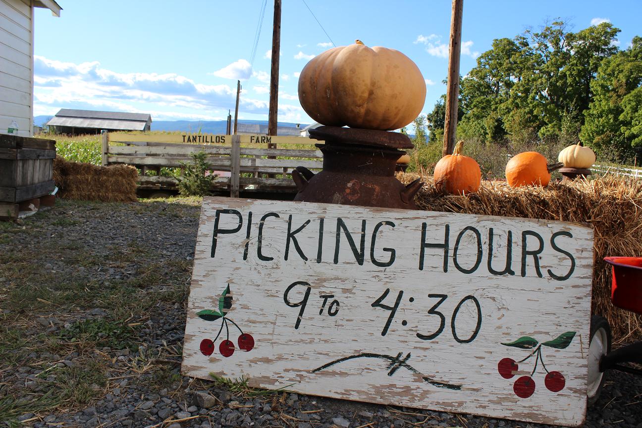 Resized- IMG_1896.jpg