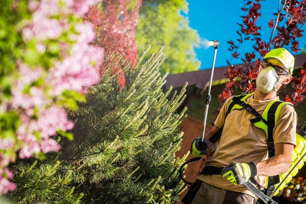 3 Ways to Protect Your Home from Summer Pests