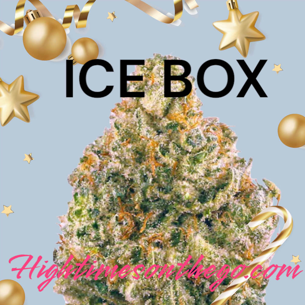 https://0201.nccdn.net/1_2/000/000/0cb/69d/icebox_indica_.jpg