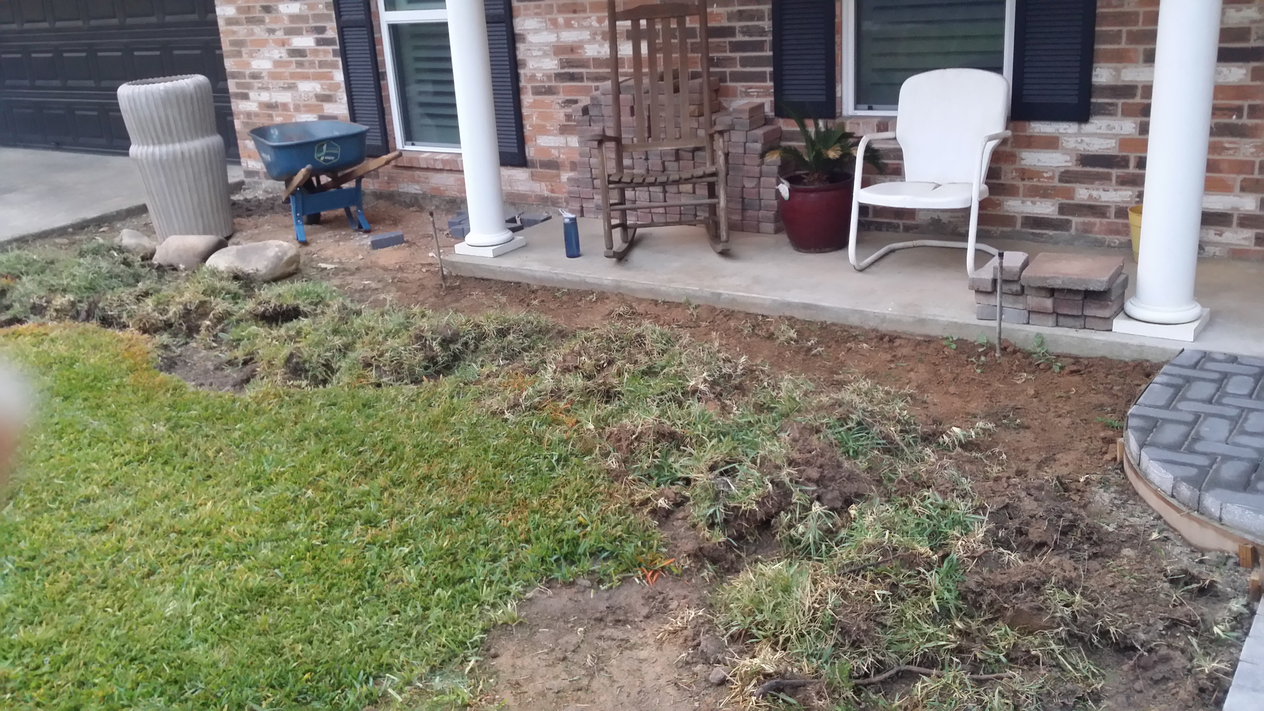 Poor Lawn Maintenance