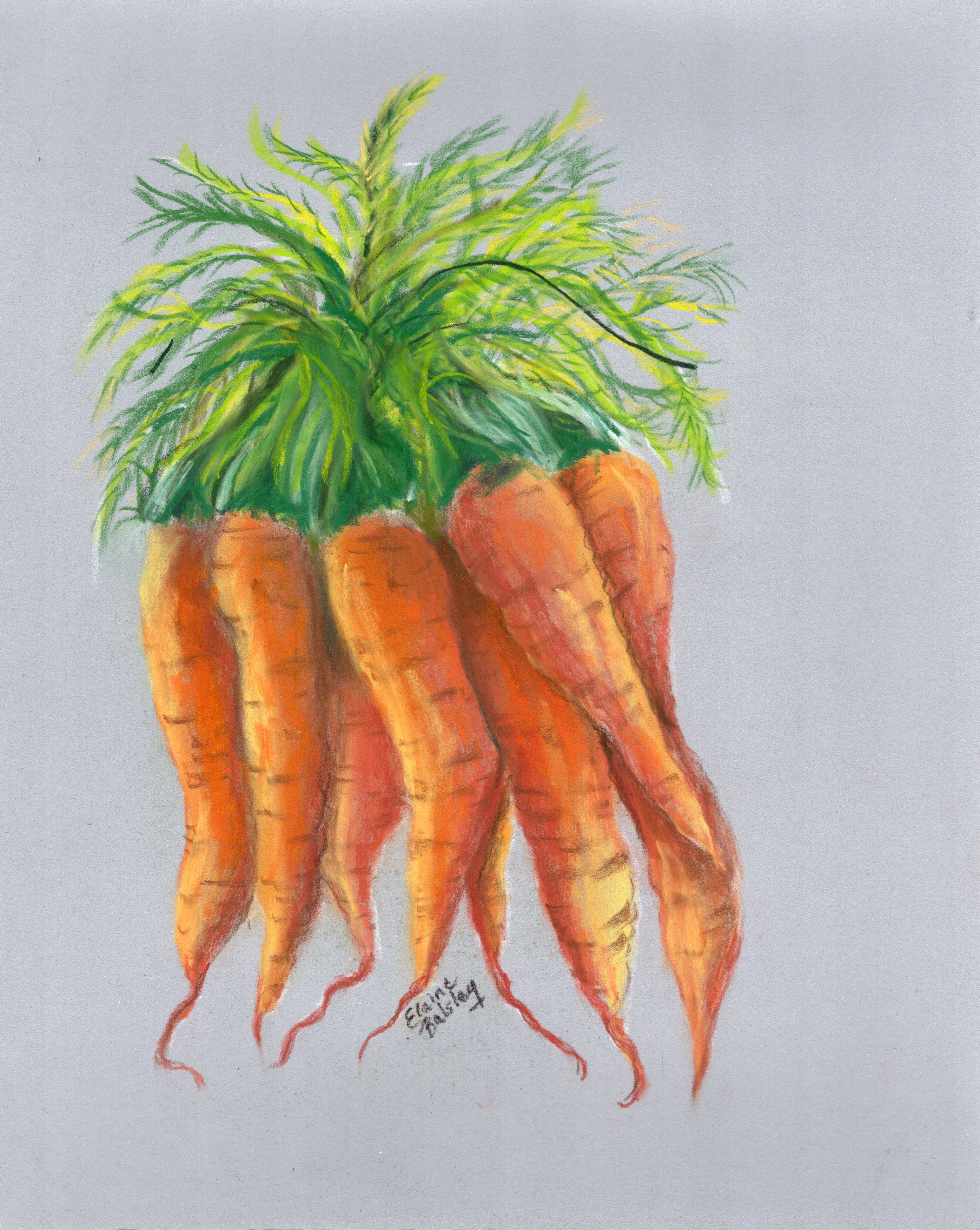 https://0201.nccdn.net/1_2/000/000/0cb/ccd/carrots-in-pastel-on-paper.jpg