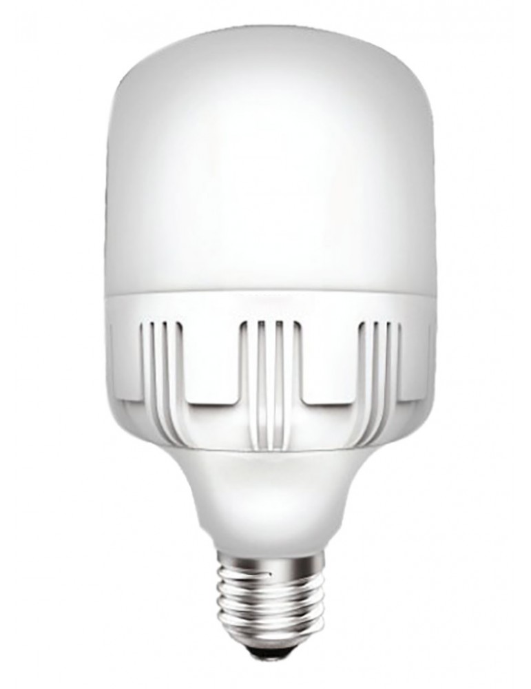 https://0201.nccdn.net/1_2/000/000/0cc/8c0/p202132-05-foco-led-40-watts-toledo-havells.jpg