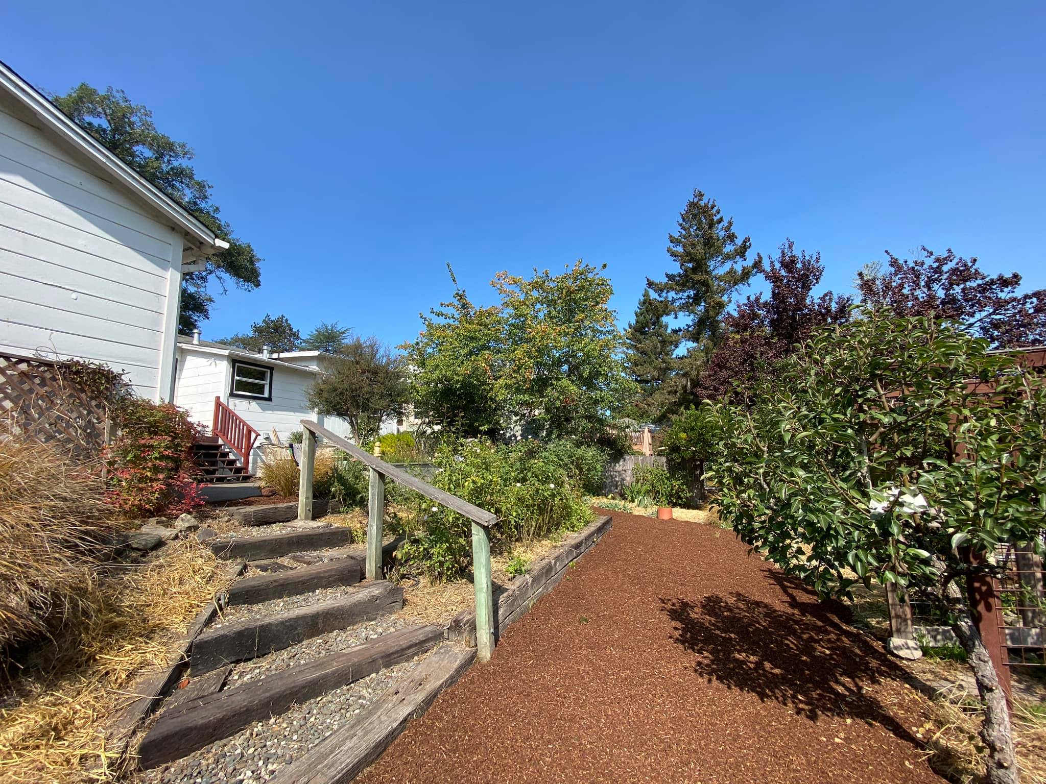 After - the power of mulch and cleaning up overgrowth