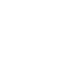 Sprout with leaves icon