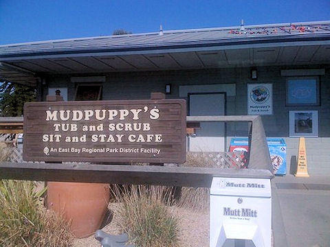 Mudpuppy's Tub and Scrub