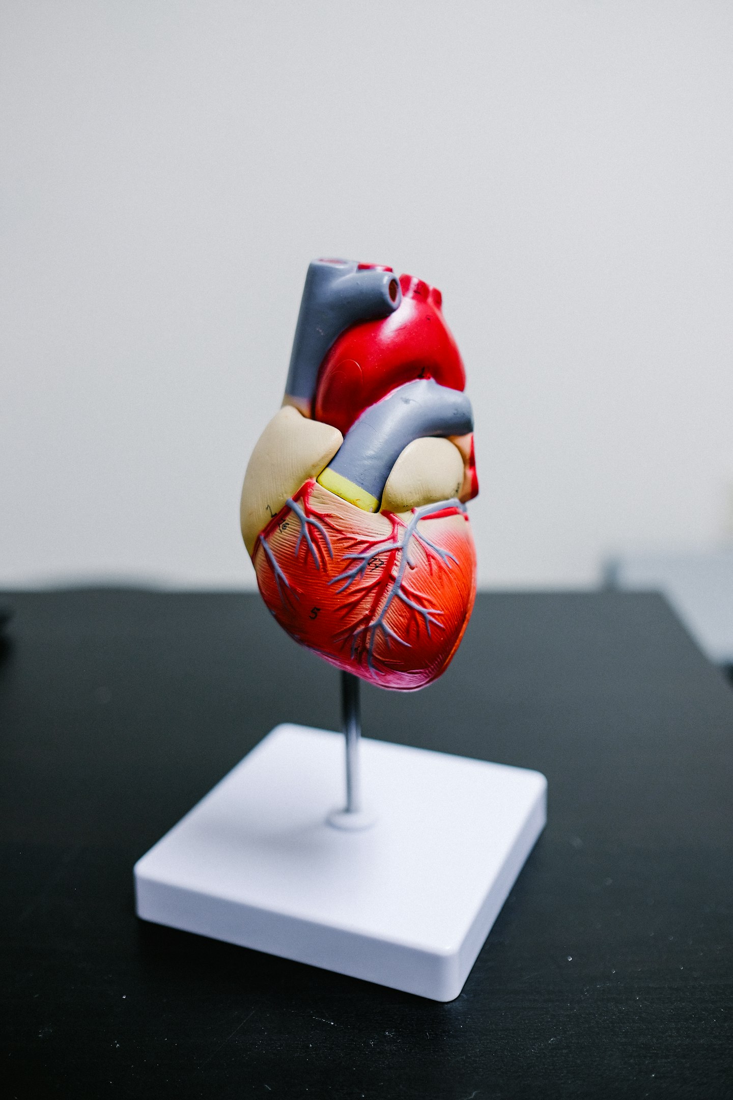 CARDIOLOGIA