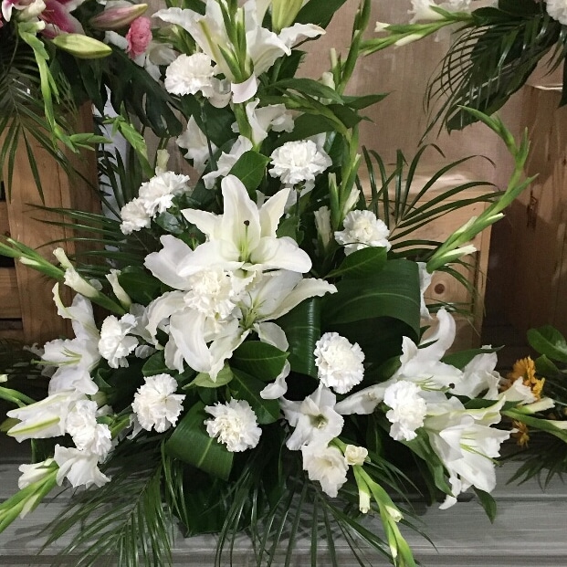 https://0201.nccdn.net/1_2/000/000/0ce/13e/IMG-20190430-WA0085.jpg