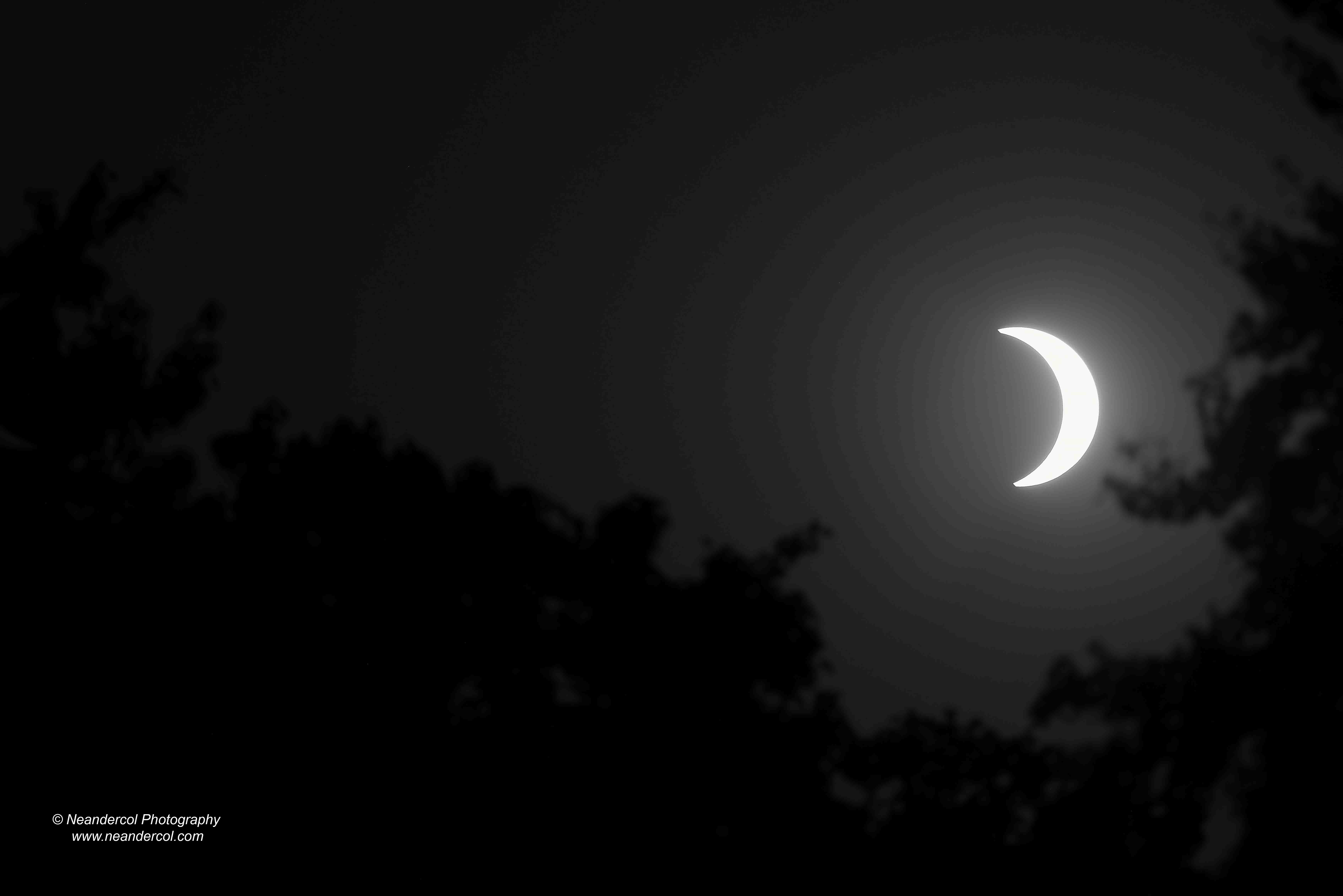 Eclipse 2026 681