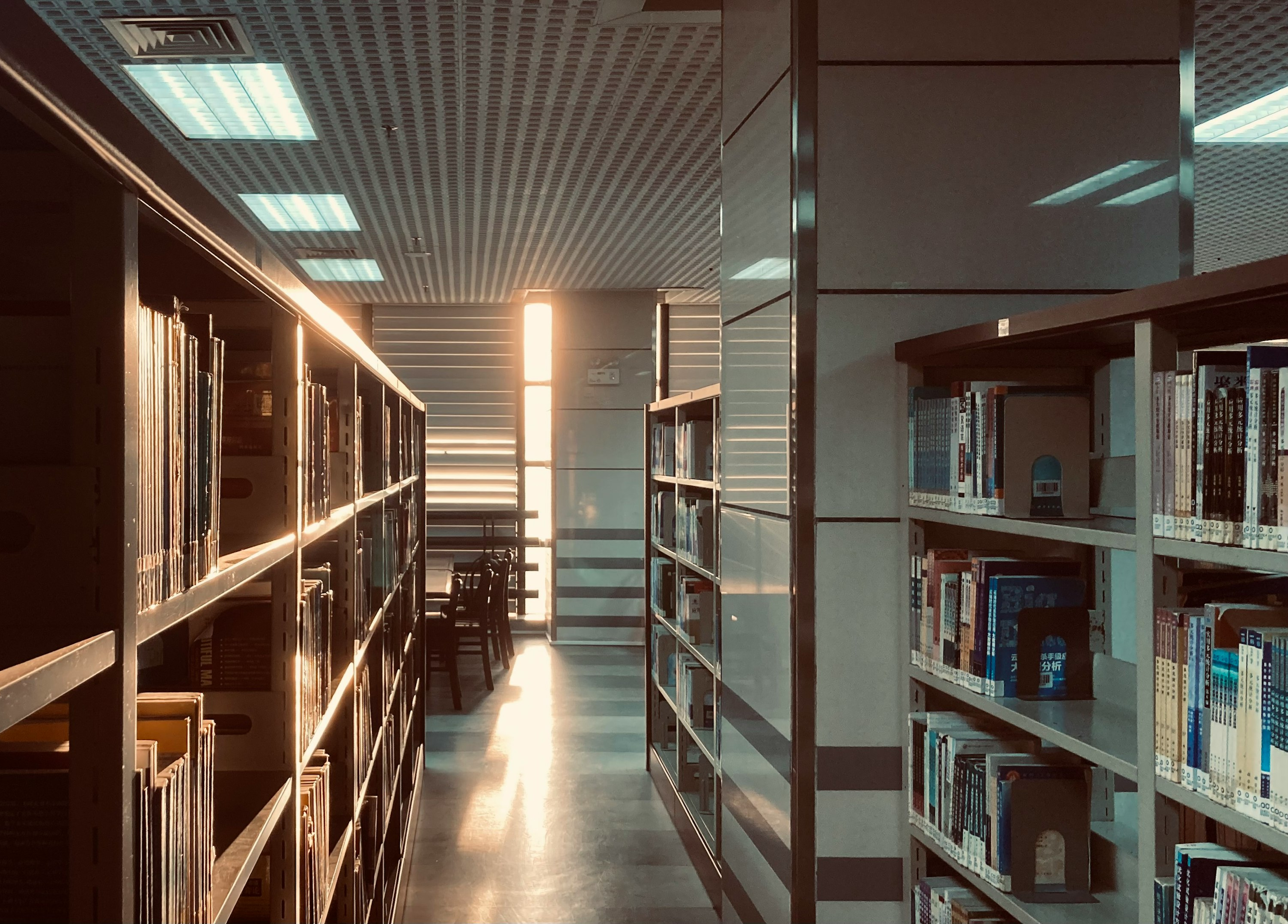 Sala de espera moderna en un edificio gubernamental con sofás gris y plantas, y letrero de 'Municipal Government' en la pared. Sala de espera moderna en un edificio gubernamental con sofás gris y plantas, y letrero de 'Municipal Government' en la pared.