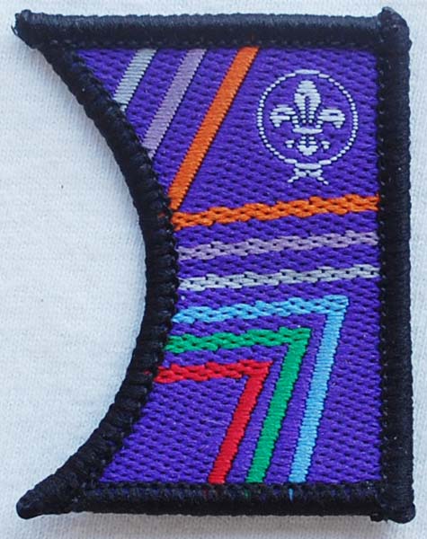 A guide to the badges of Scouting Ireland (Gasóga na hÉireann) : r