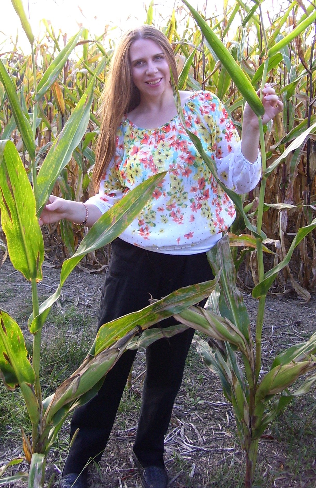 Standing in the Cornfield