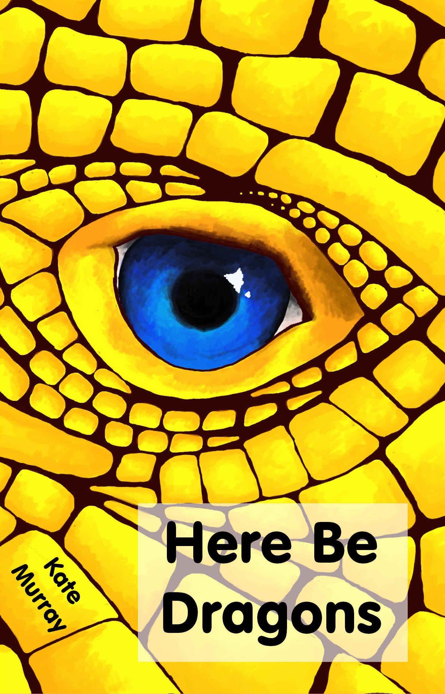 Here Be Dragons (Child's Fiction)
Eight year old Jimmy and his family are normal people, they live in a normal house. Except they are not... they are dragons. For years they have hidden their true selves, but now somebody has found them and they are in great danger. Together with other supernatural children Jimmy and Paul must find the truth and save their parents.