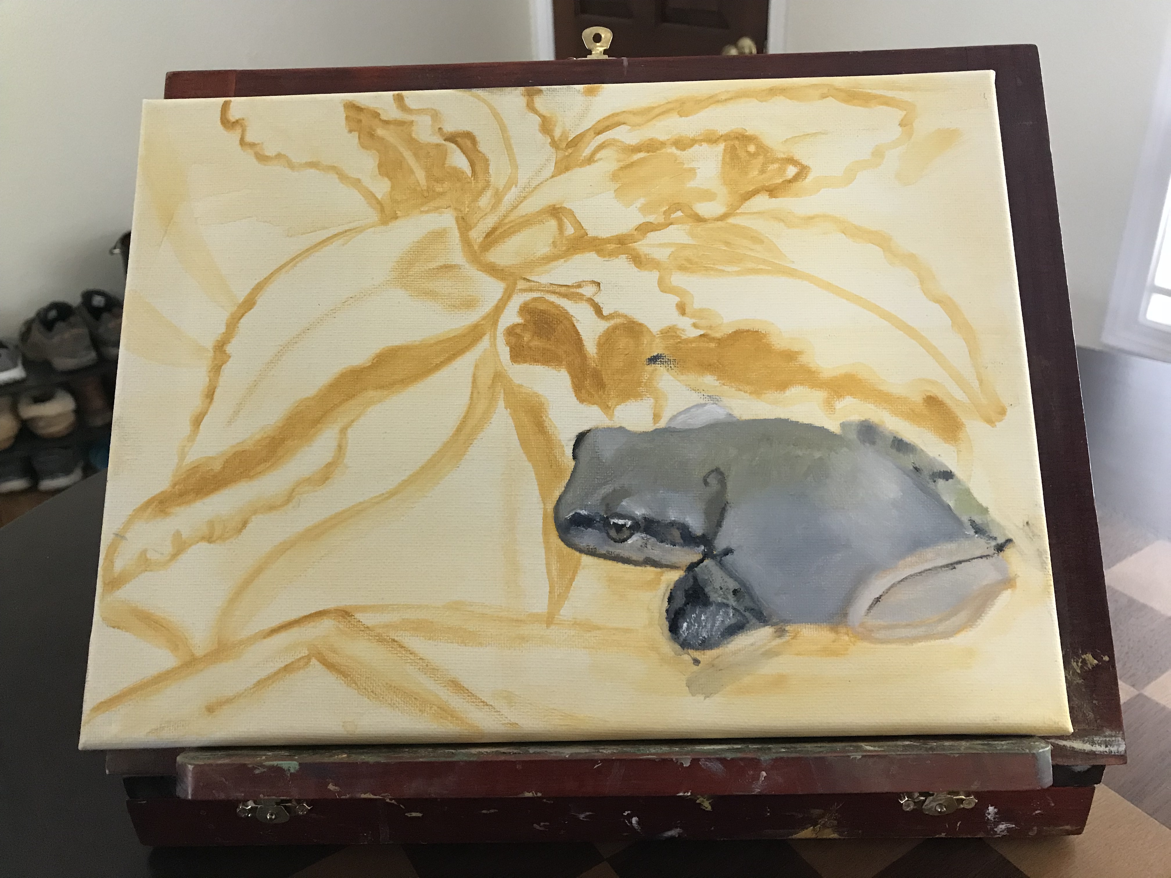 Frog Study Unfinished