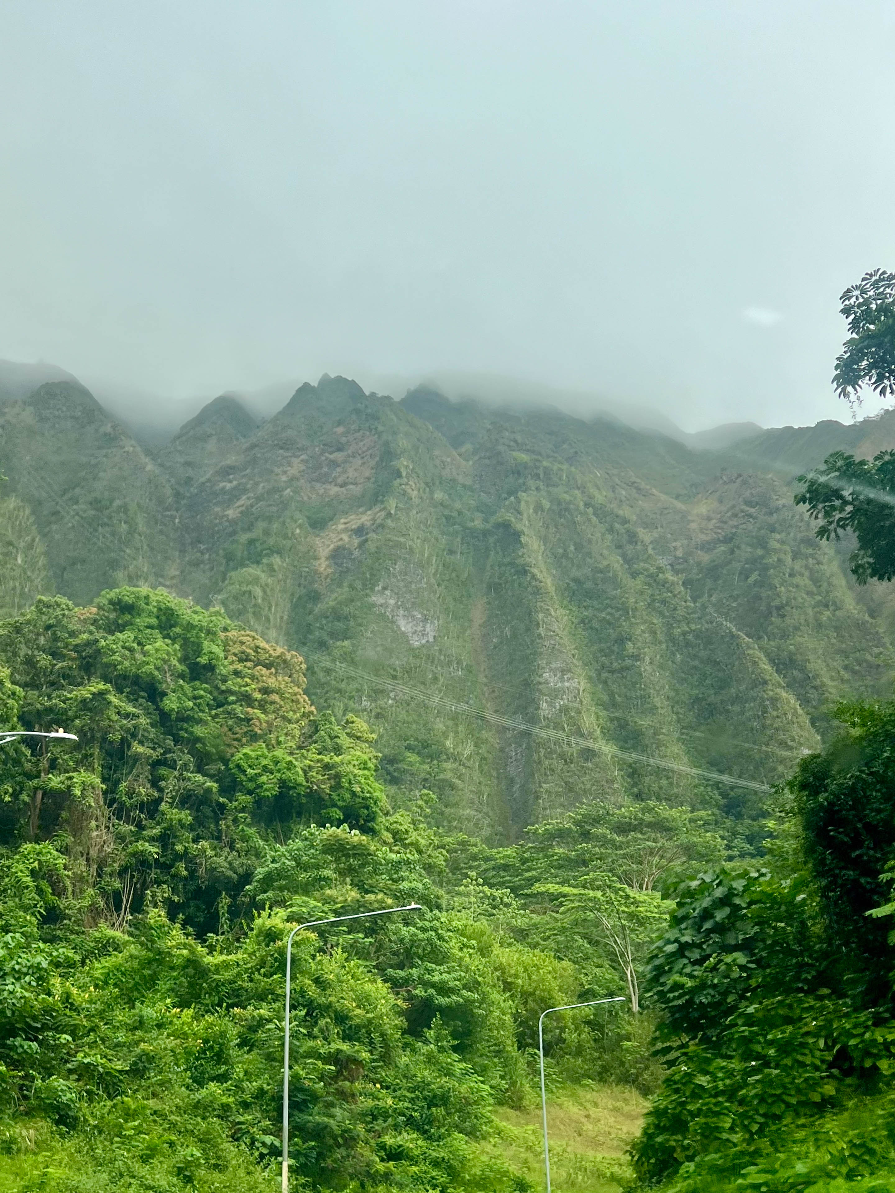 https://0201.nccdn.net/1_2/000/000/0cf/149/hawaii-order-140.jpg