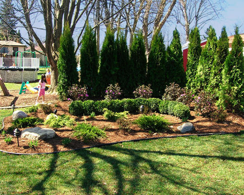 Landscaping and Garden work